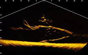 MEGA LIVE Imaging — zdjęcie 2