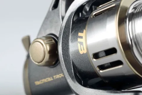 Tt2 Reel — zdjęcie 4