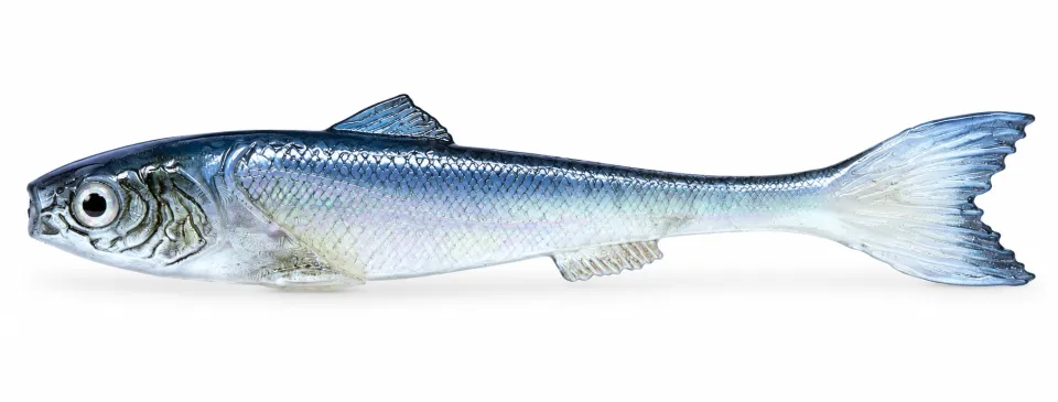 DeadBait sardynka 10cm OPAL