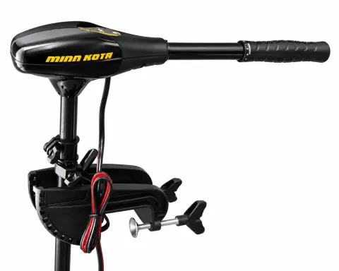 ENDURA MAX 55