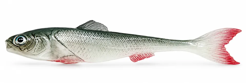 DeadBait sardynka 6cm UKLEJA