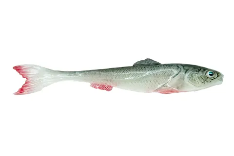 DeadBait sardynka 6cm UKLEJA — zdjęcie oferty 1