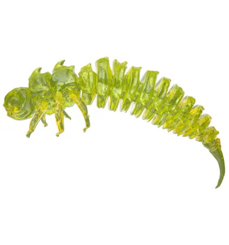 Larwa BigFatBug 5cm opakowanie 5szt SELEDYN