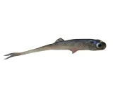 Jaskółka ŚLIZ 9cm OPAL — zdjęcie sprzedawcy 2