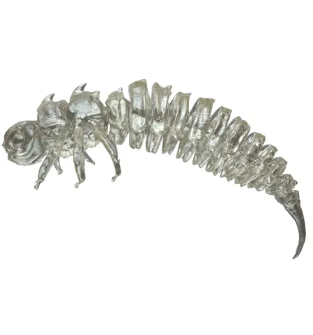 Larva BigFatBug 5cm opakowanie 5szt TRANSPARENT