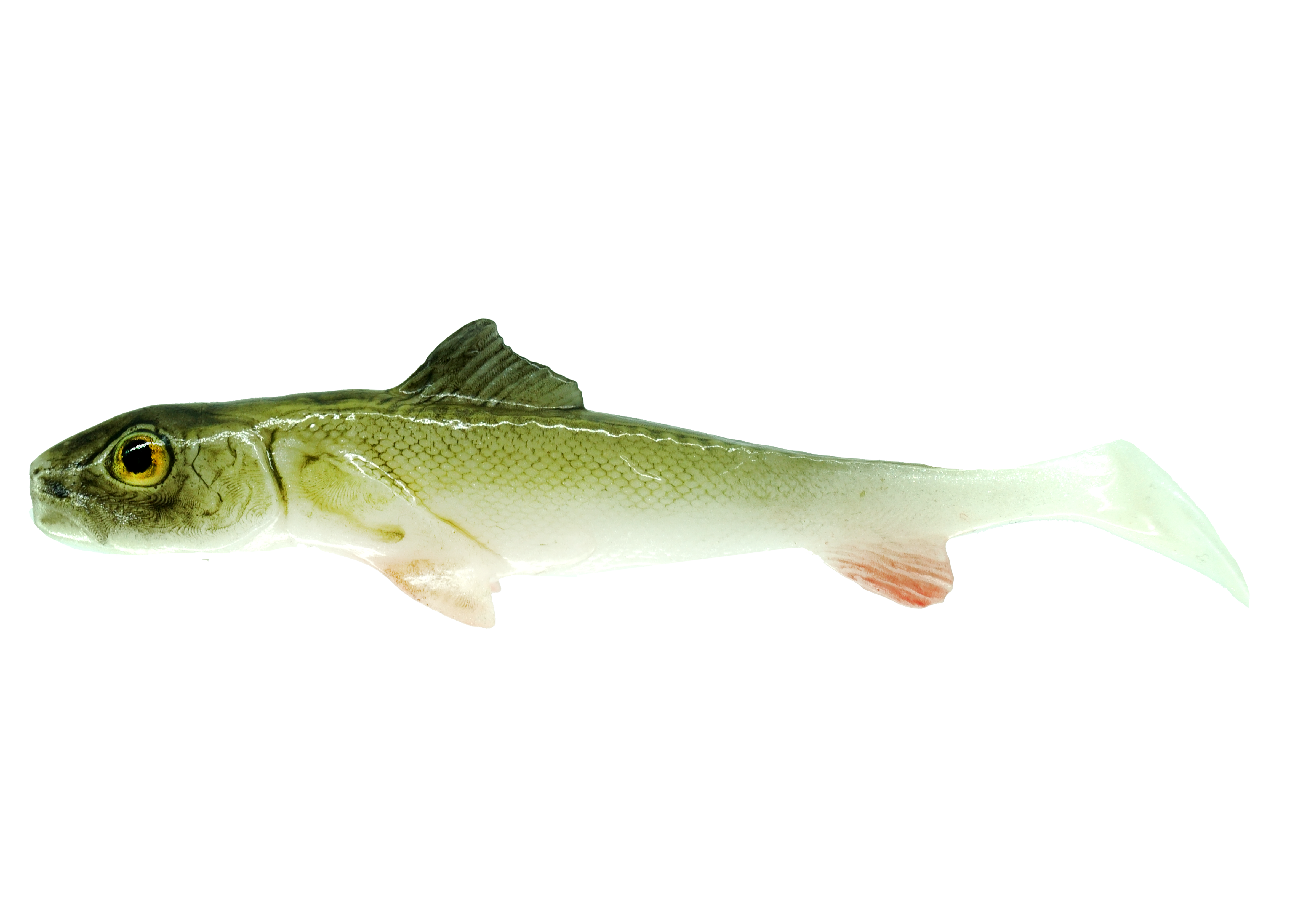 Ripper ŚLIZ  7cm STYNKA — zdjęcie sprzedawcy 2
