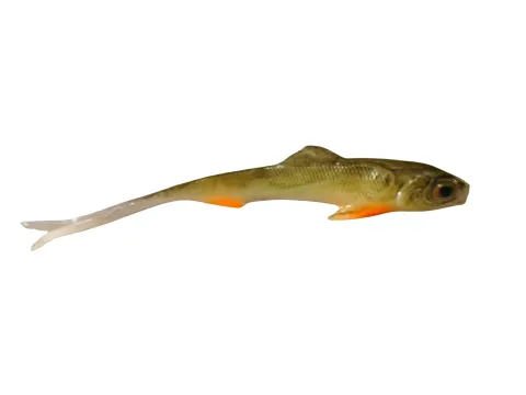 Jaskółka SARDYNKA 10cm CHICKEN — zdjęcie oferty 1