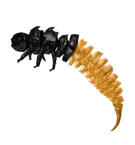 Larva BigFatBug 5cm opakowanie 5szt CZARNO-POMARAŃCZOWY